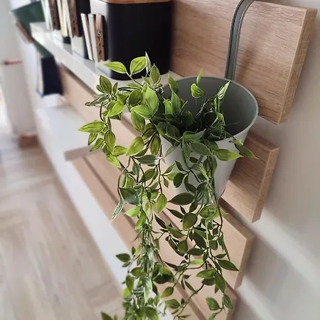 Lägenhet Lena Tuzla